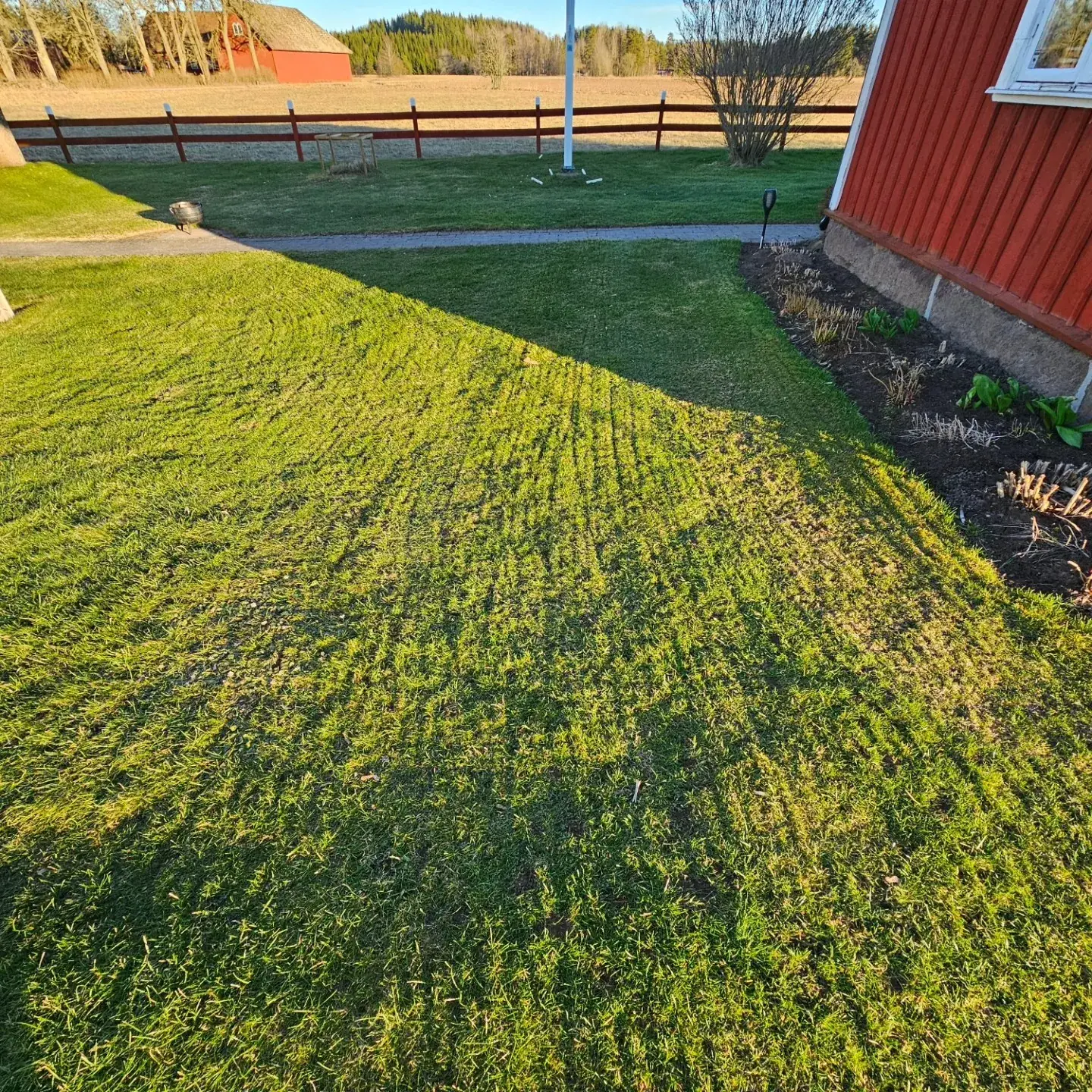 Nyklippt randig gräsmatta i morgonsol framför ett rött hus på landet