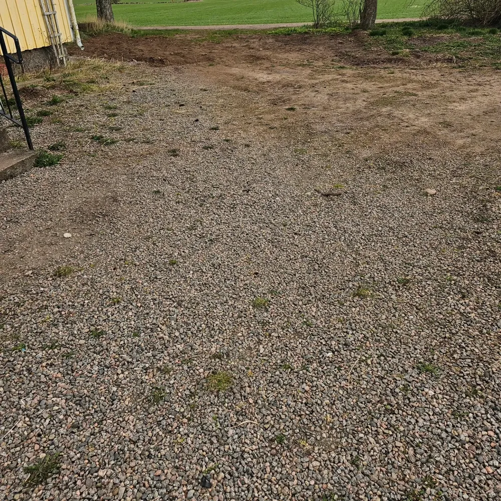 Grusyta där ogräs och gräs har börjat ta över