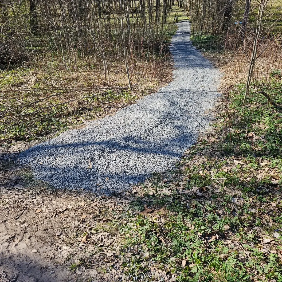 Grusgång som slingrar sig genom en skogsdunge